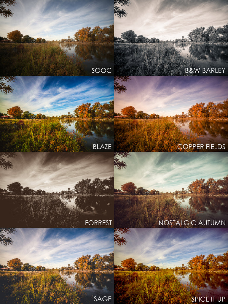 Landscape Presets for Lightroom