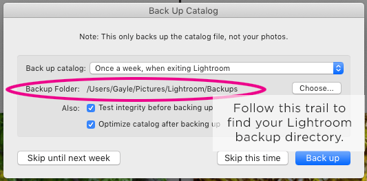 Backup Lightroom Catalog