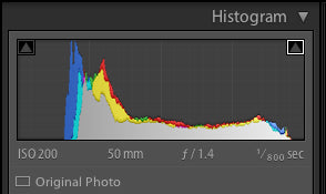 Lightroom Develop Module