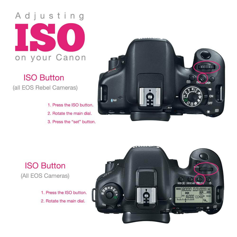 What Does ISO Stand For Photography