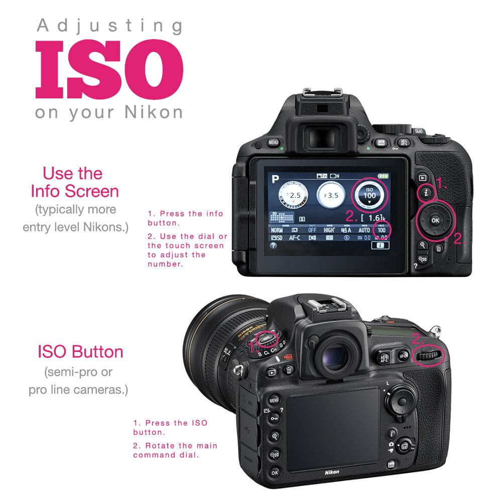 ISO Photography Meaning