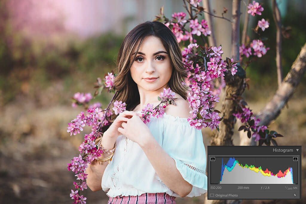 lightroom histogram tutorial