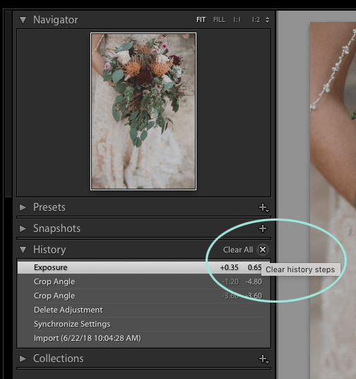 Lightroom clear history