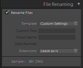 lightroom import