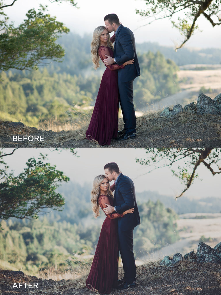 how to apply presets in lightroom