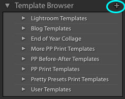 5 Steps for Creating Print Templates in Lightroom | Pretty Presets for Lightroom