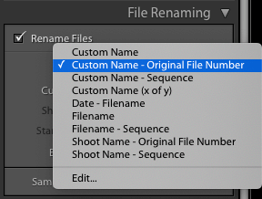 How to Rename a File in Lightroom