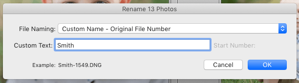 Rename a File in Lightroom