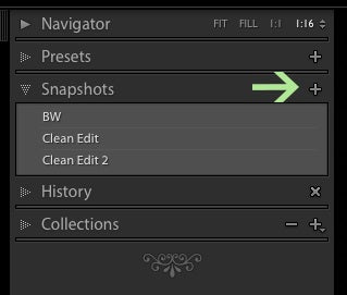 Lightroom snapshot shortcut