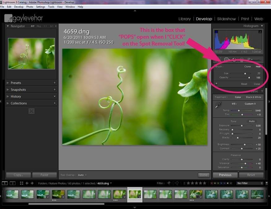 How to Remove Dust Spots in Lightroom