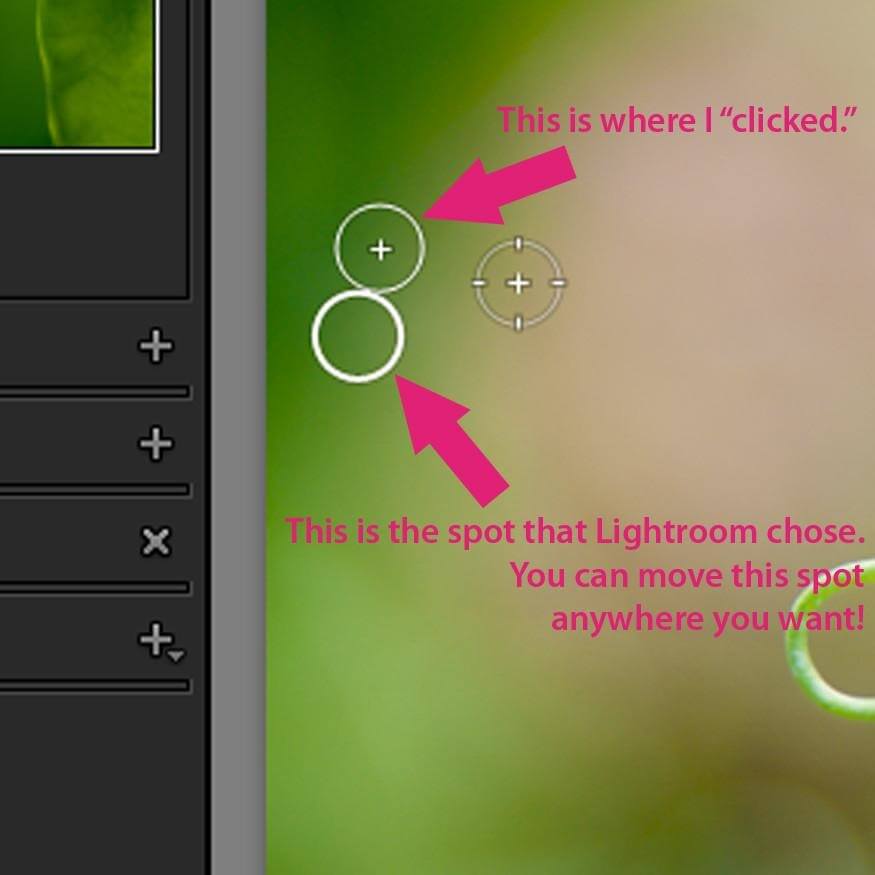 How to Add Dust in Lightroom