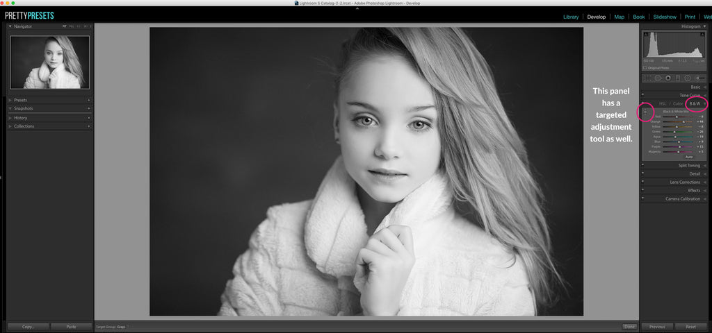 Editing Black and White Photos in Lightroom