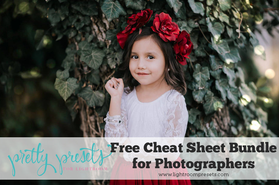 Cheat Sheet Bundle for Photographers