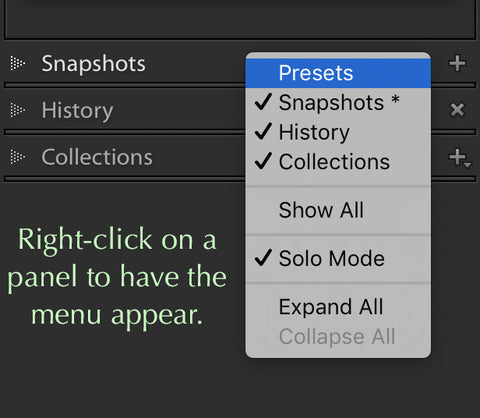 Lightroom Panels Disappeared