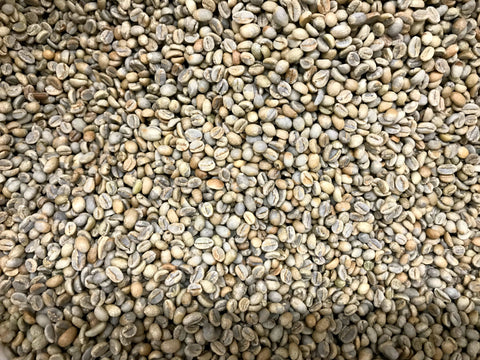Yirgacheffe Halo Bariti beans are small due to the high altitude and yellow in color from the tanins in the coffee cherry.