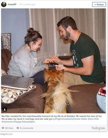 Pet friendly engagement proposal