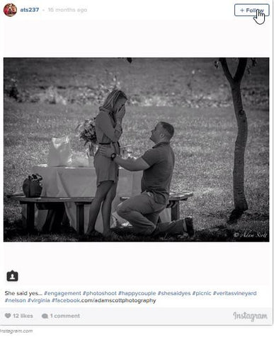 picnic engagement proposal