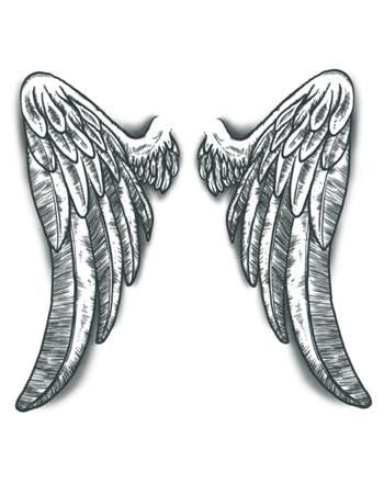 Angel Wings Temporary Tattoo Tattooed Now
