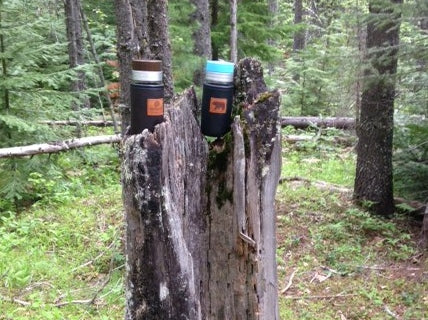  nature's cup holders in Glacier National Park