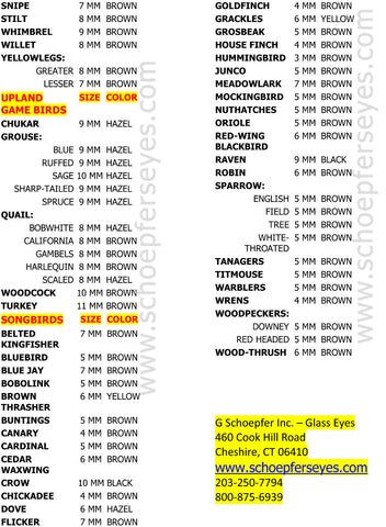 Bird eye size and color chart - Schoepfers Eyes www.schoepferseyes.com