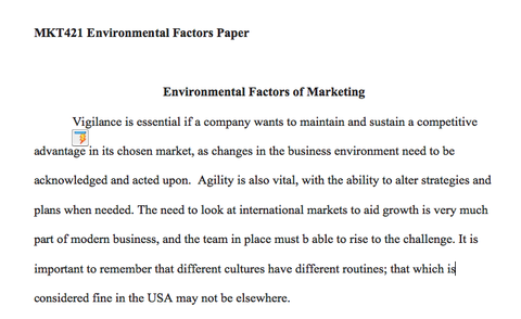 Marketing mix essay paper