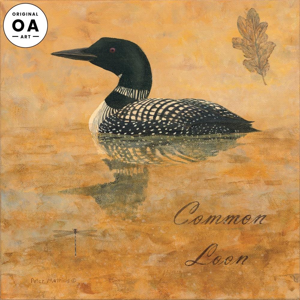 common loon painting