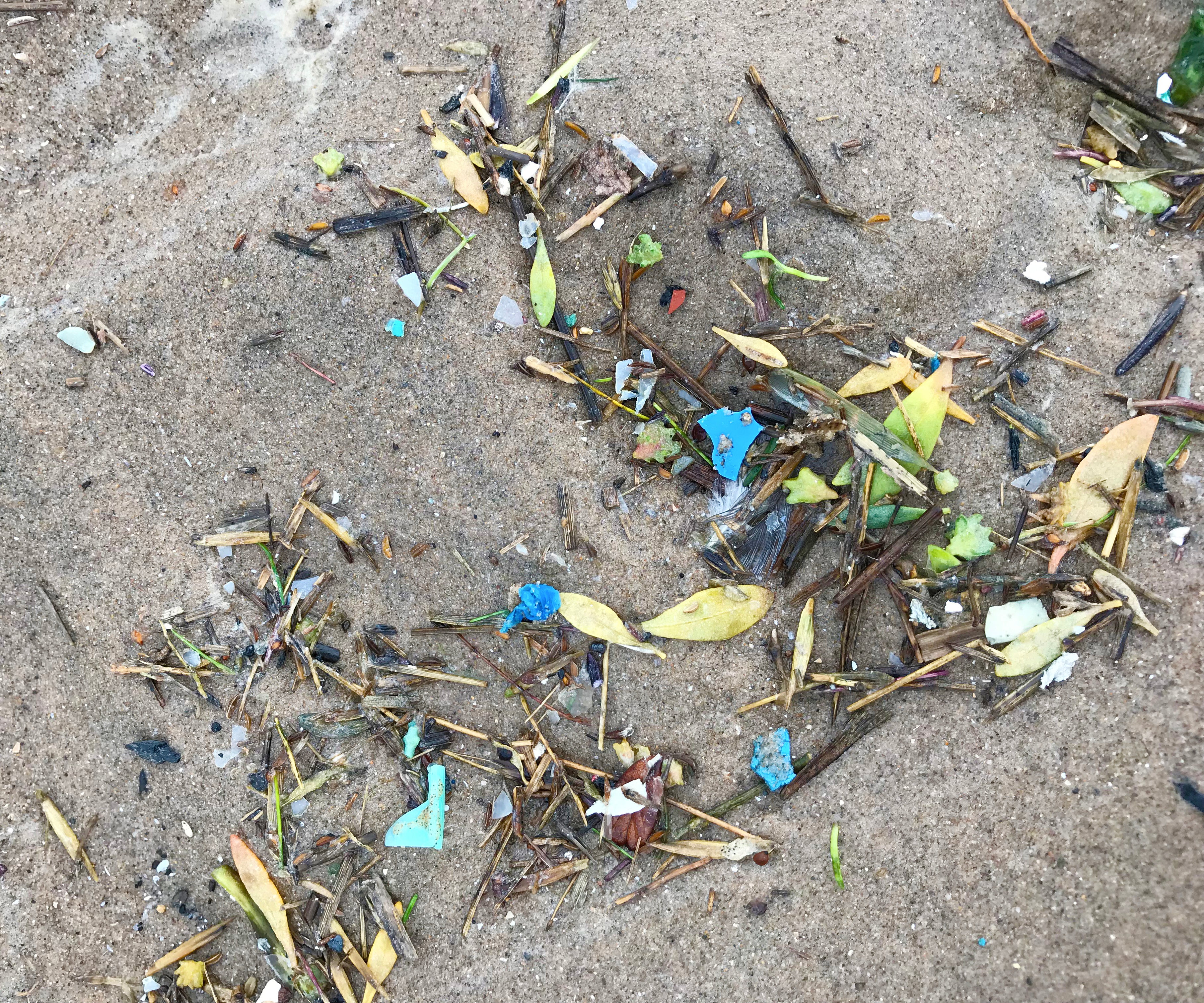 Batoko Beach Clean - Fylde Coast Micro-Plastics