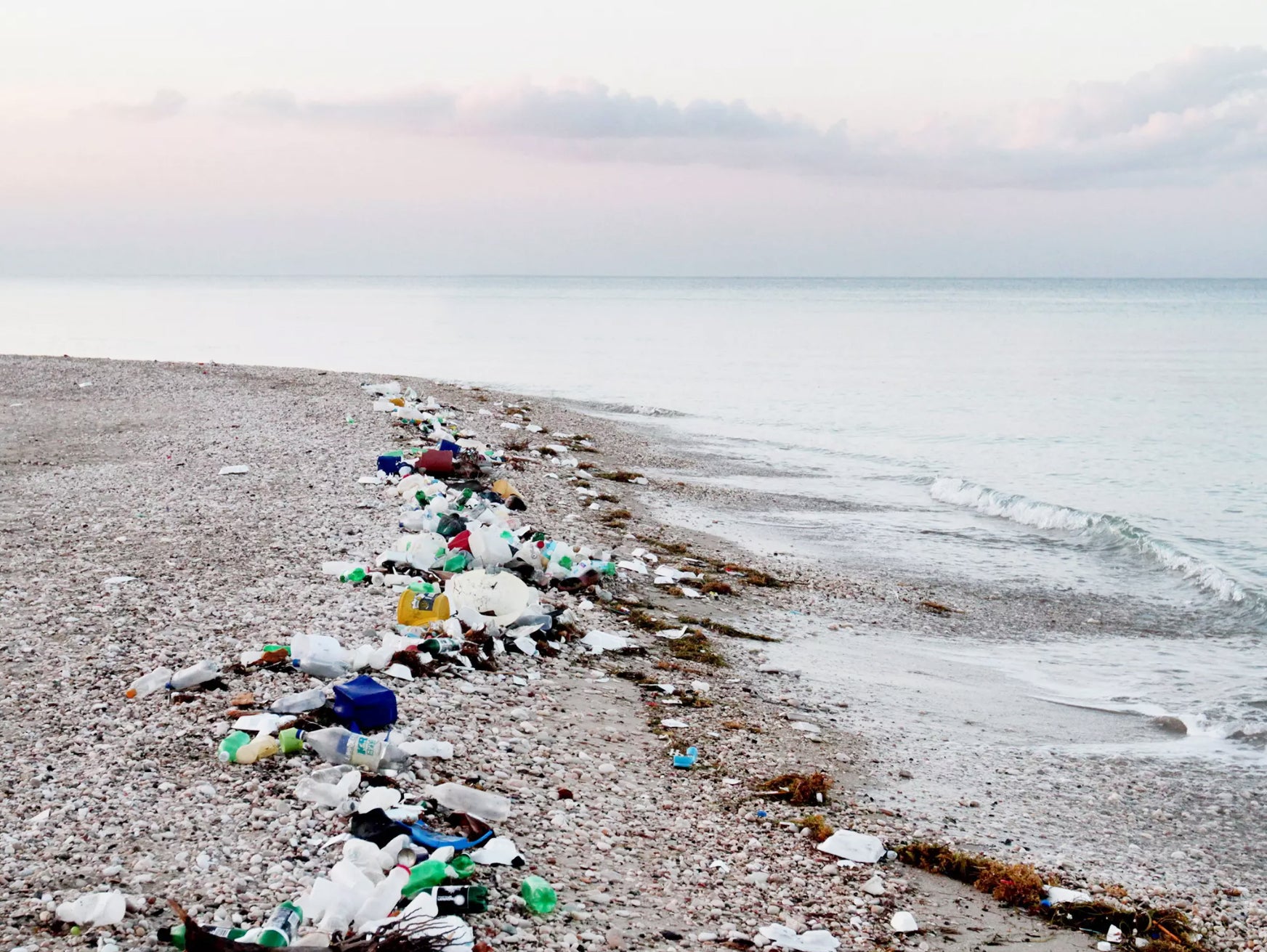 Beach littered in plastic waste. Help keep trash out of our oceans.