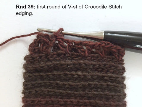 pic 23 crocodile stitch fingerless gloves
