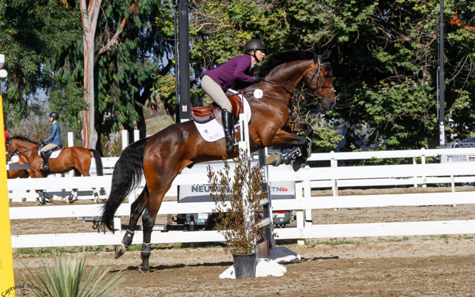 Calverro Founder Sarah Enwright and her horse Bocelli