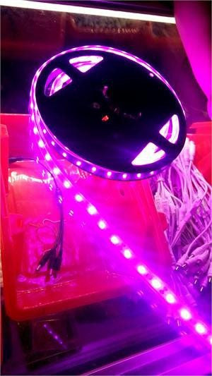 Hot pink 16ft Purple Flexiable Led Strip 300leds SMD 5050 led waterproof Lights 
