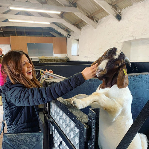 farms for city children event - advent of change founder Kristina stroking a goat