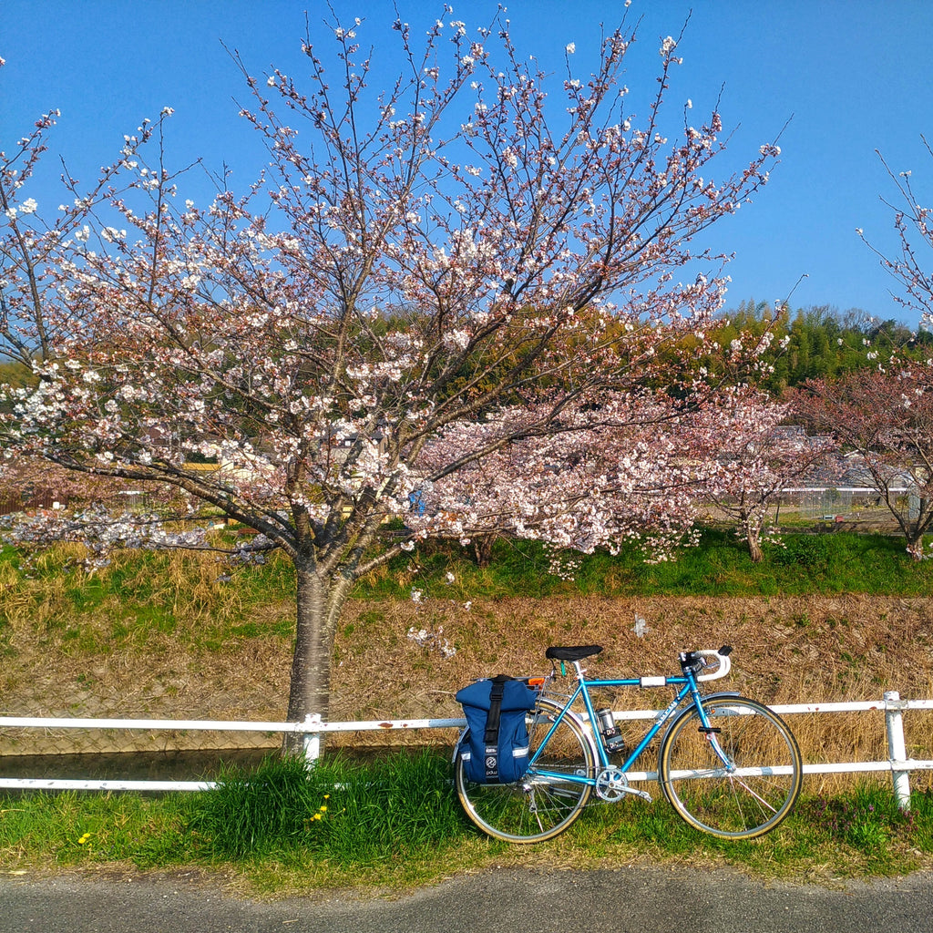 best pannier for cherry blossom viewing