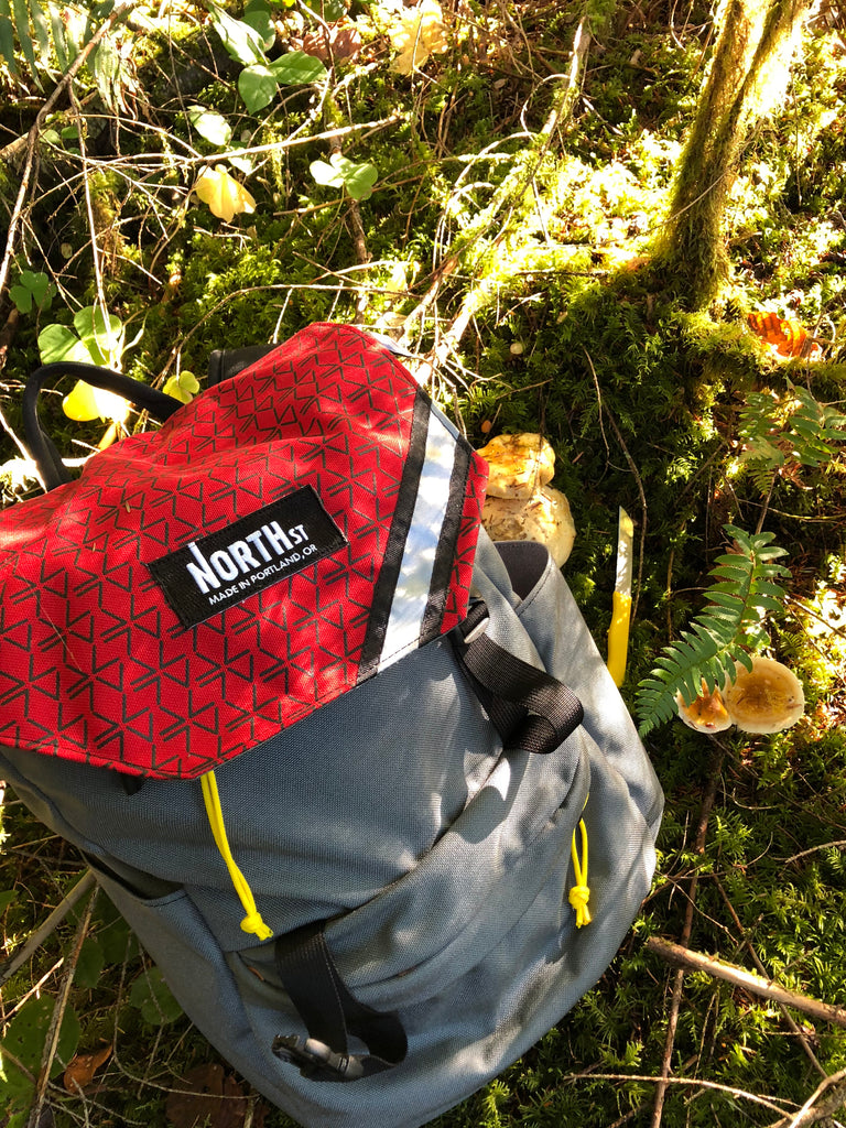 mushroom hunting with a red and grey north st backpack in a forest