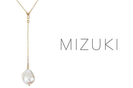 Mizuki Newsletter Header