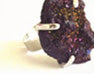 Galaxy Ring