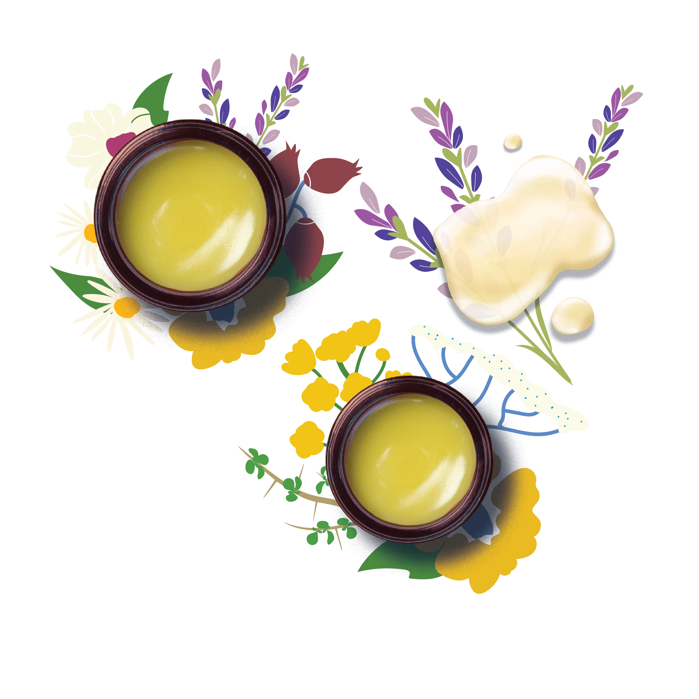 Ingredients Image