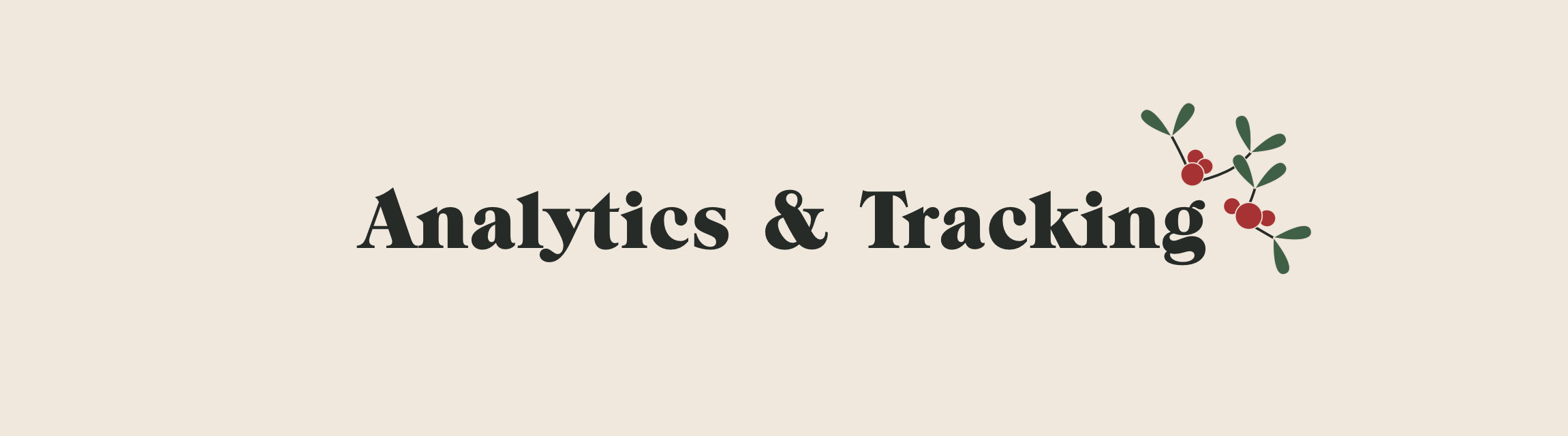 Analytics & Tracking title with mistletoe icon