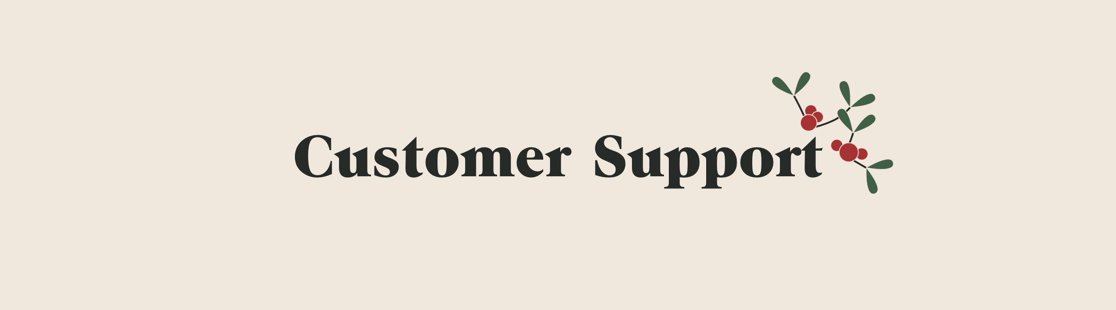 Customer Support title with mistletoe icon