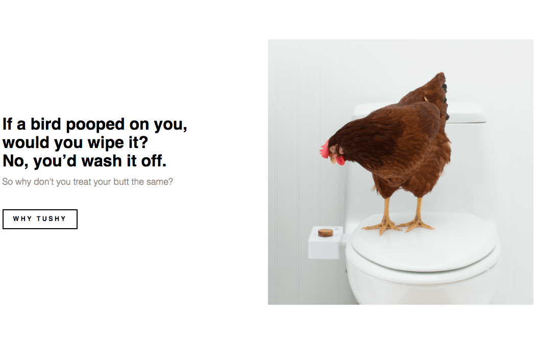 Chicken sitting on toilet with a Tushy bidet