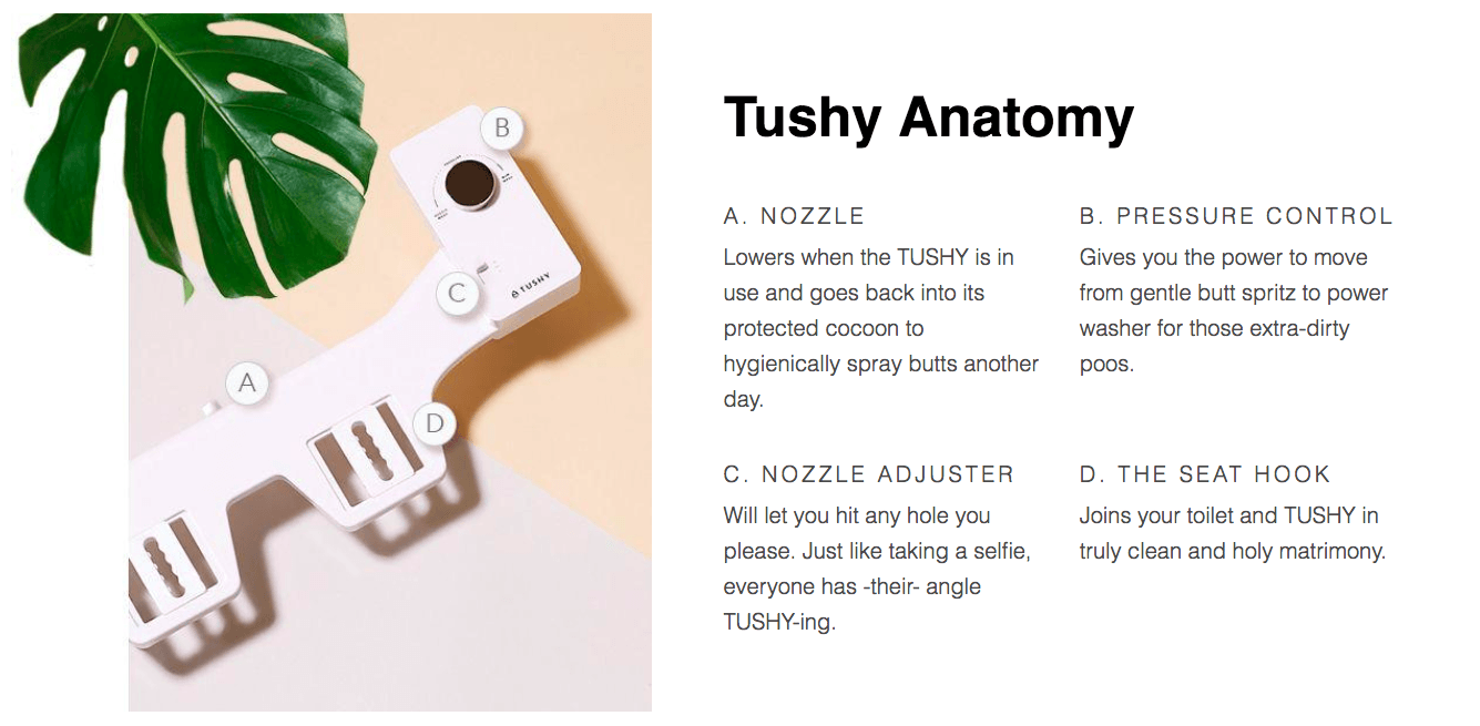 Tushy anatomy