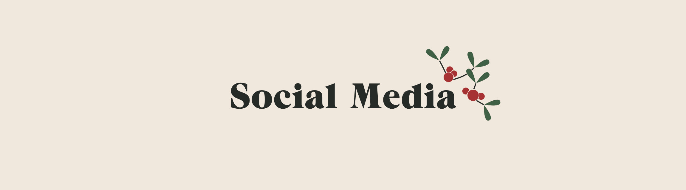 Social Media title with mistletoe icon