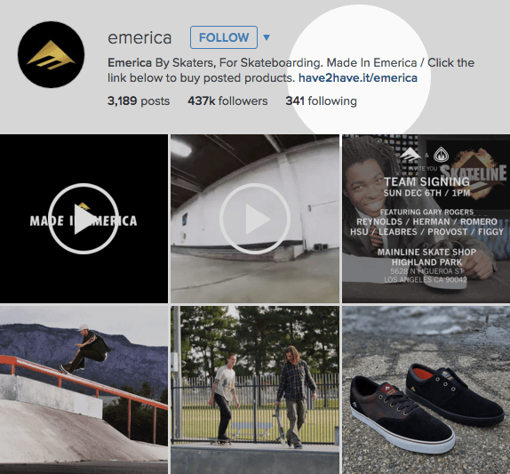 Emerica Instagram page featuring 4 images and 2 videos