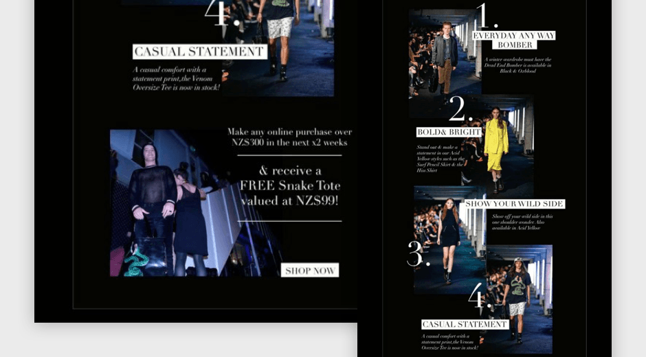 Stolen promotional email featuring editorial runway imagery