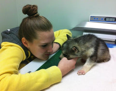 Jessica and Ellie on rescue day, weighing in 3lbs