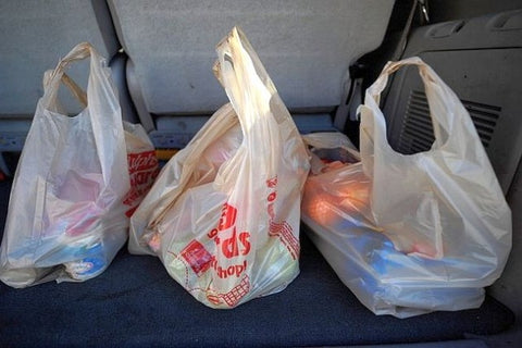 Plastic Bag Ban