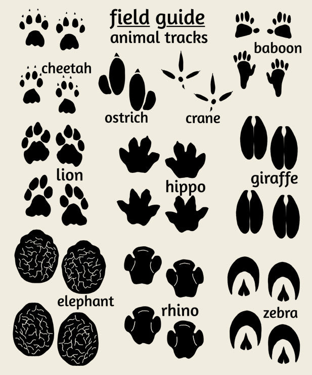 clip art animal footprints - photo #48