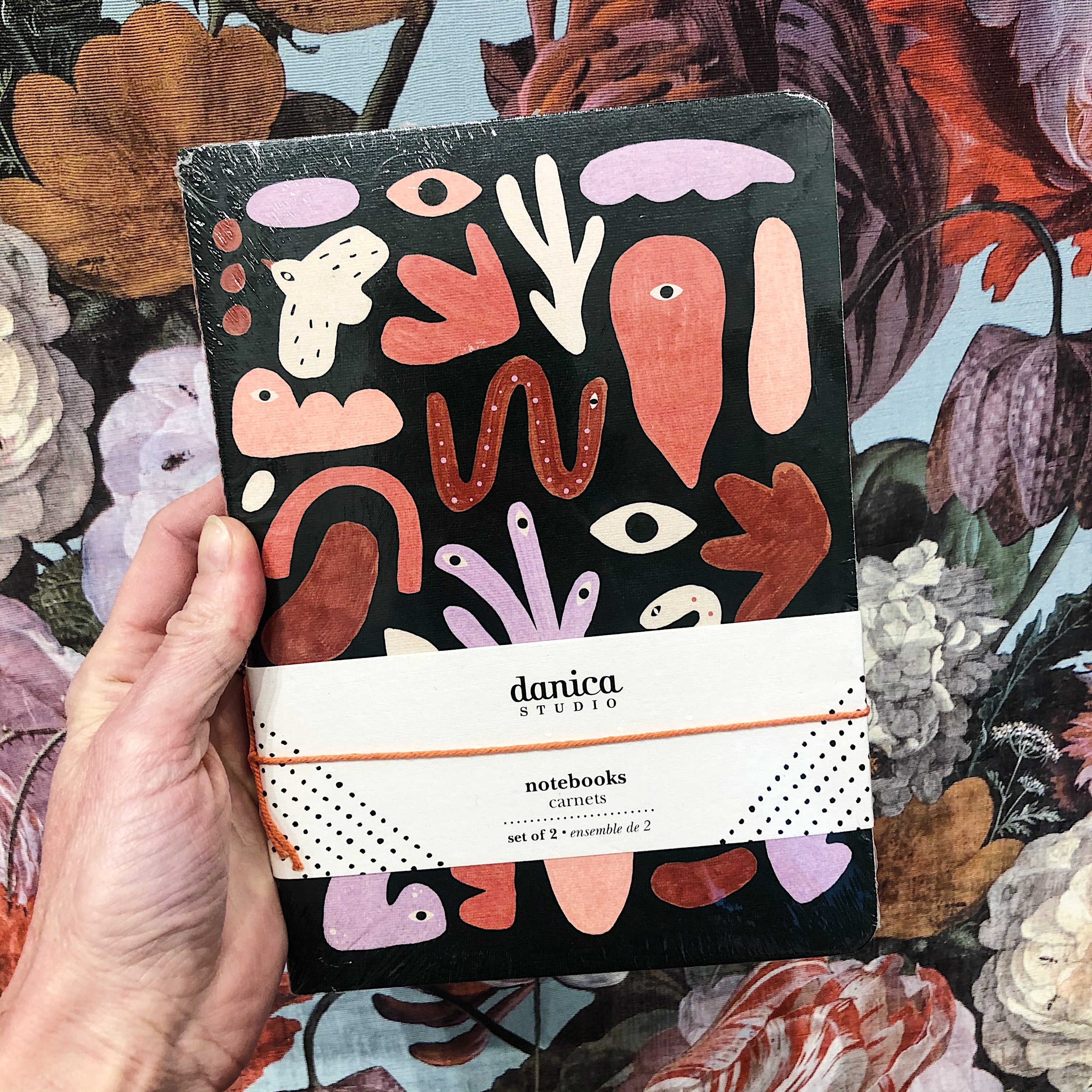 Danica // Curio Notebook Set