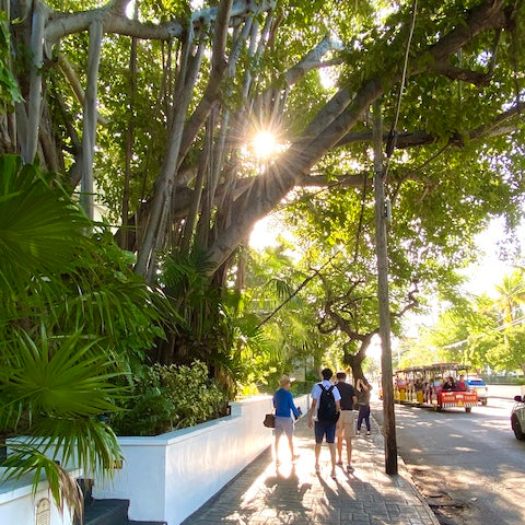 Key West Walking Tour