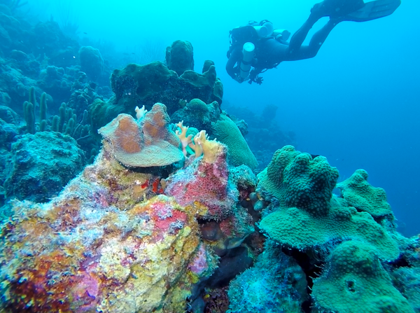 Ascending from the Hilma Hooker wreck